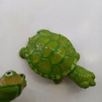 لاک پشت - تصویر 2