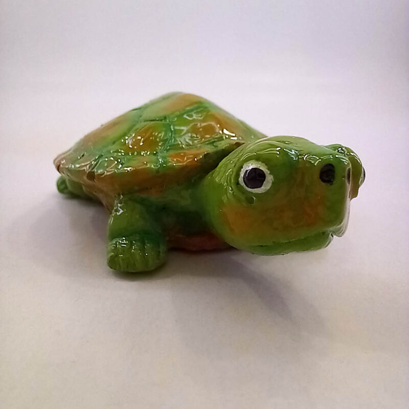 لاک پشت - تصویر 3