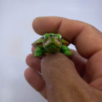 لاک پشت - تصویر 4