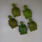 لاک پشت - تصویر 5