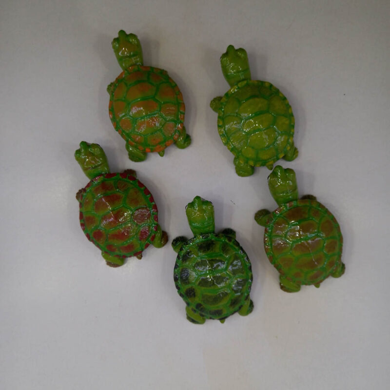 لاک پشت - تصویر 5