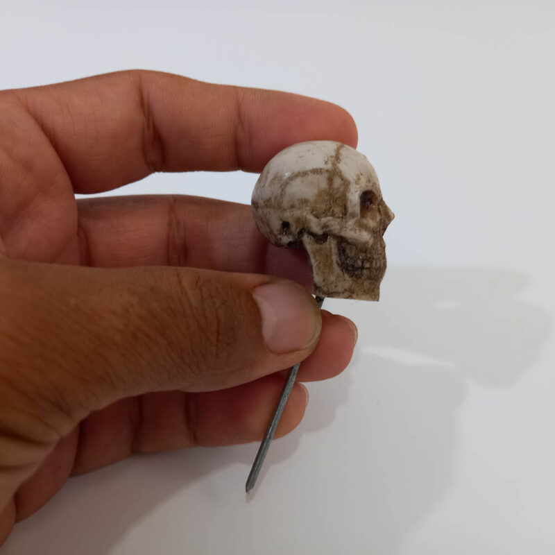 جمجمه - تصویر 3