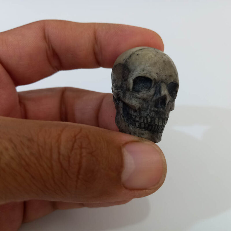 جمجمه - تصویر 4