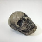 جمجمه - تصویر 5