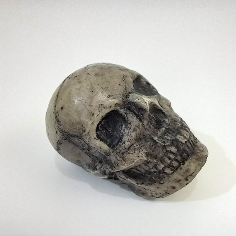 جمجمه - تصویر 5