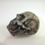 جمجمه - تصویر 6