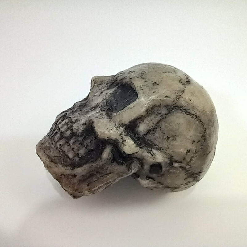 جمجمه - تصویر 6