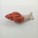 حلزون - تصویر 10