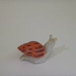 حلزون - تصویر 8