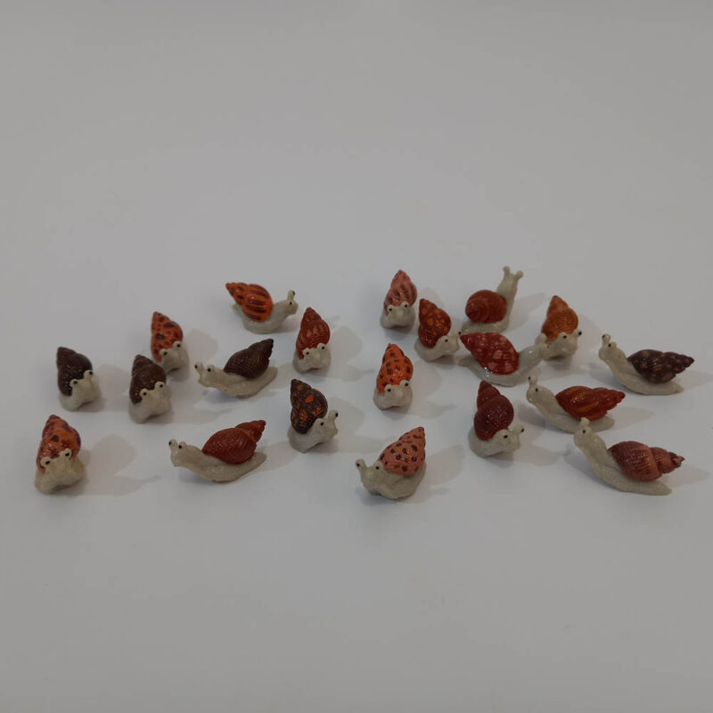 حلزون - تصویر 7