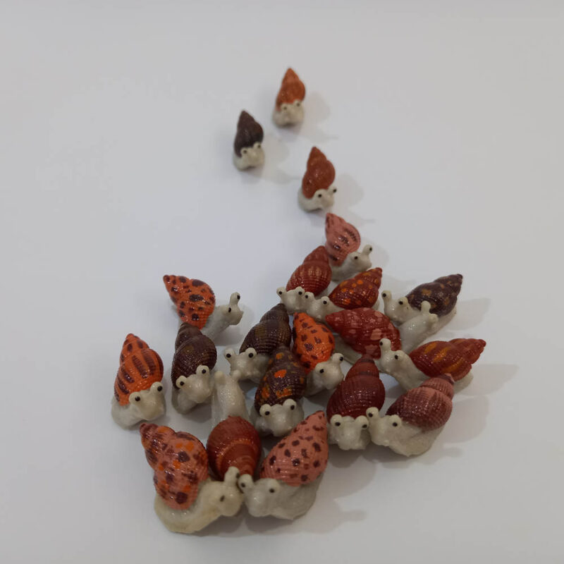 حلزون - تصویر 5