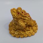 قورباغه ثروت - تصویر 2