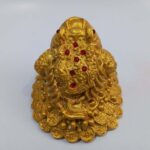 قورباغه ثروت - تصویر 3