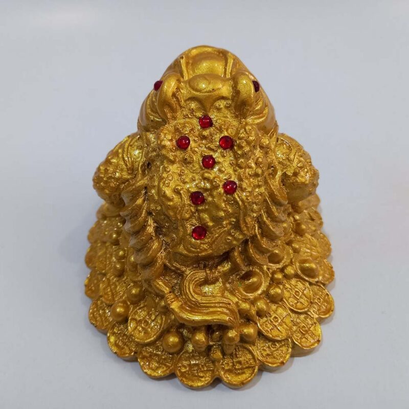 قورباغه ثروت - تصویر 3