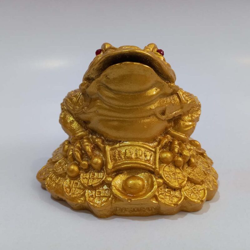 قورباغه ثروت - تصویر 4