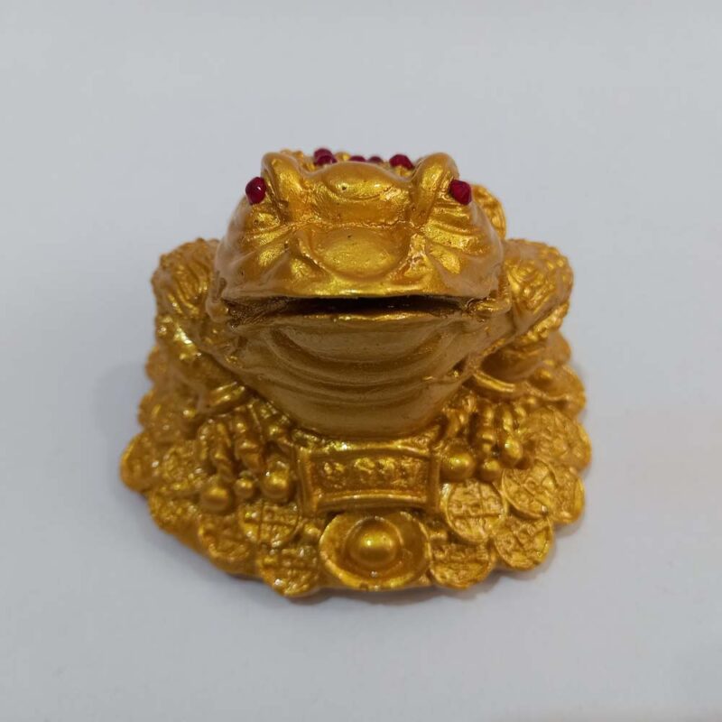 قورباغه ثروت - تصویر 5