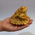 قورباغه ثروت - تصویر 6