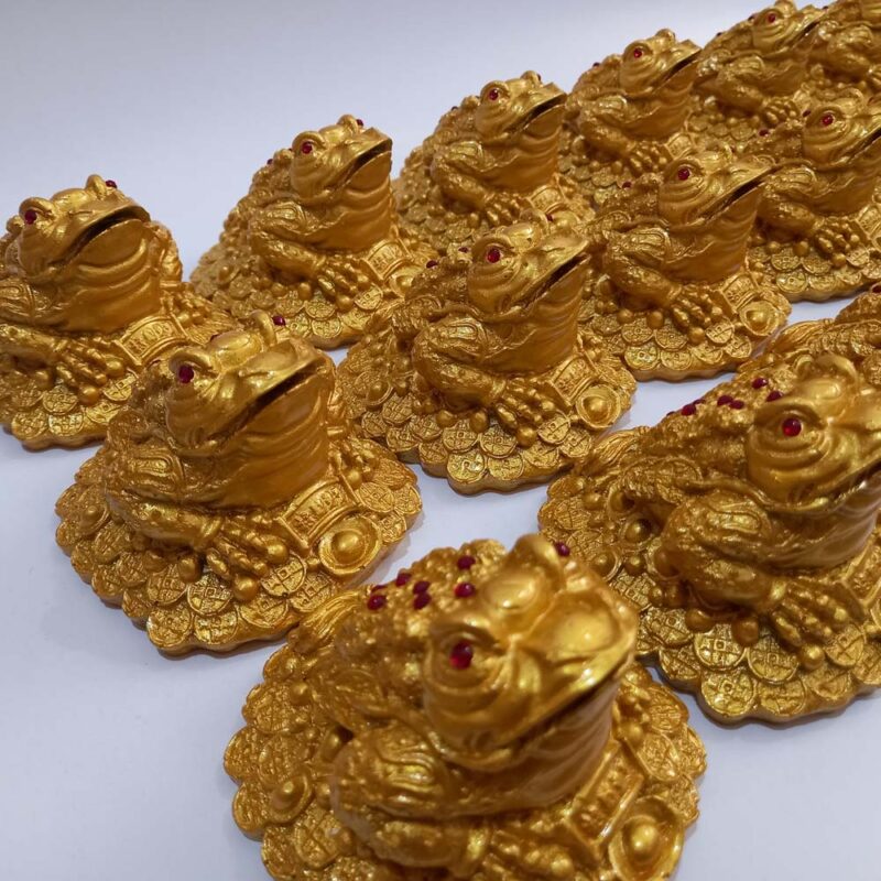 قورباغه ثروت - تصویر 8