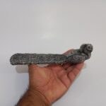 جاعودی شاخه ای طاووس کد11 - تصویر 8