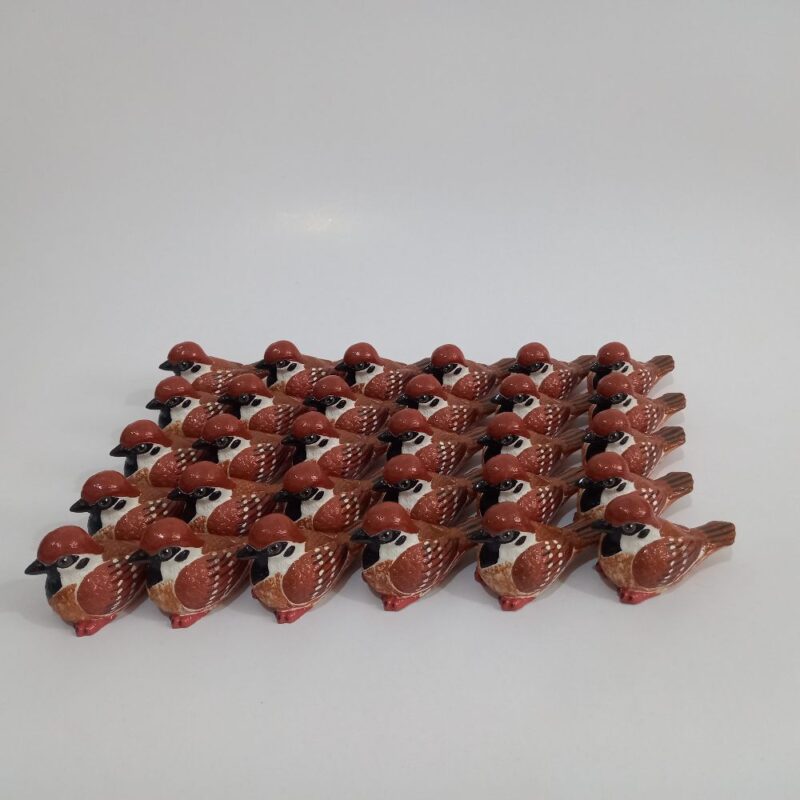 گنجشک - تصویر 7