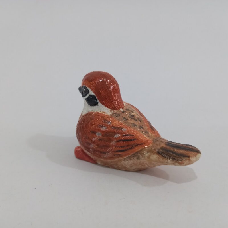 گنجشک - تصویر 4