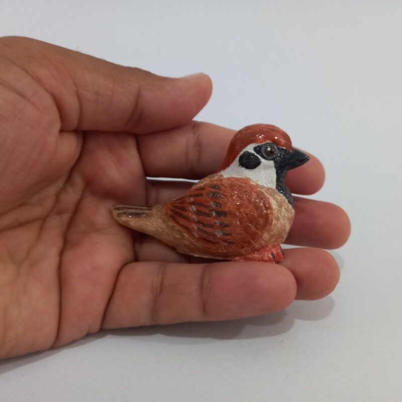 گنجشک - تصویر 5