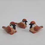 گنجشک - تصویر 2