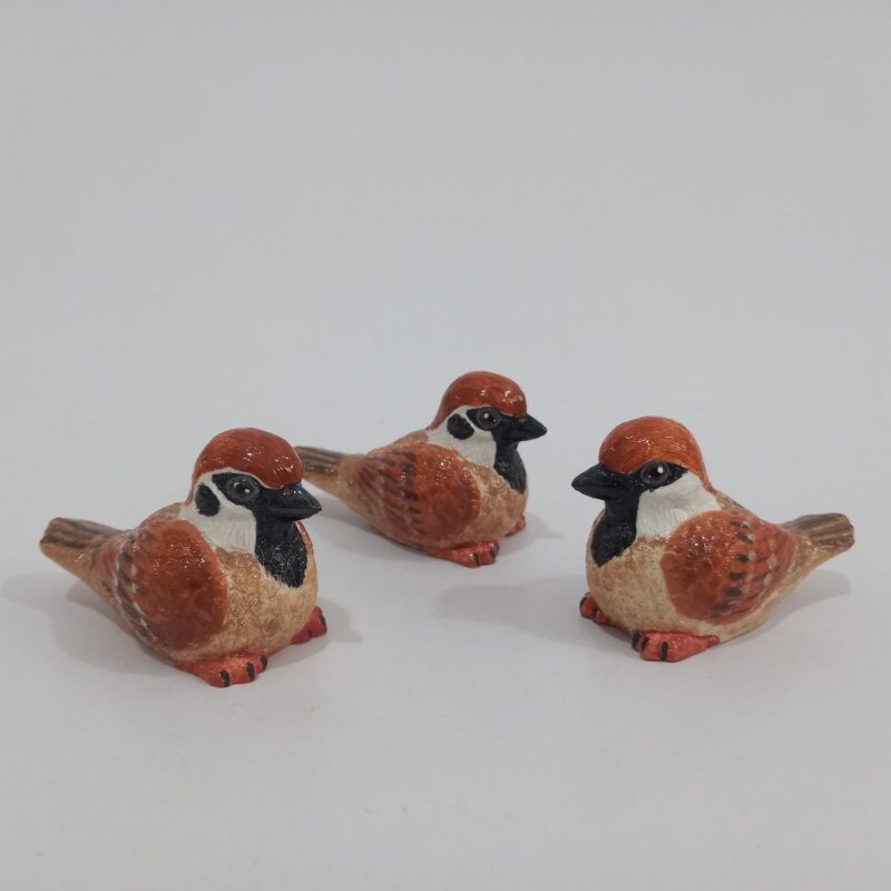 گنجشک - تصویر 2