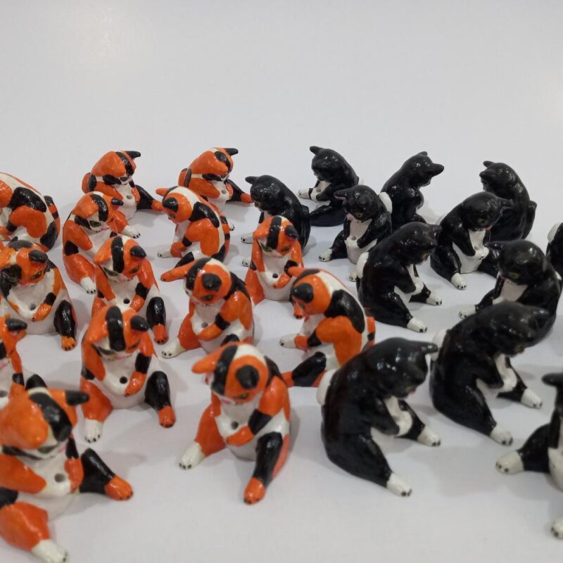 گربه ماهیگیر - تصویر 21