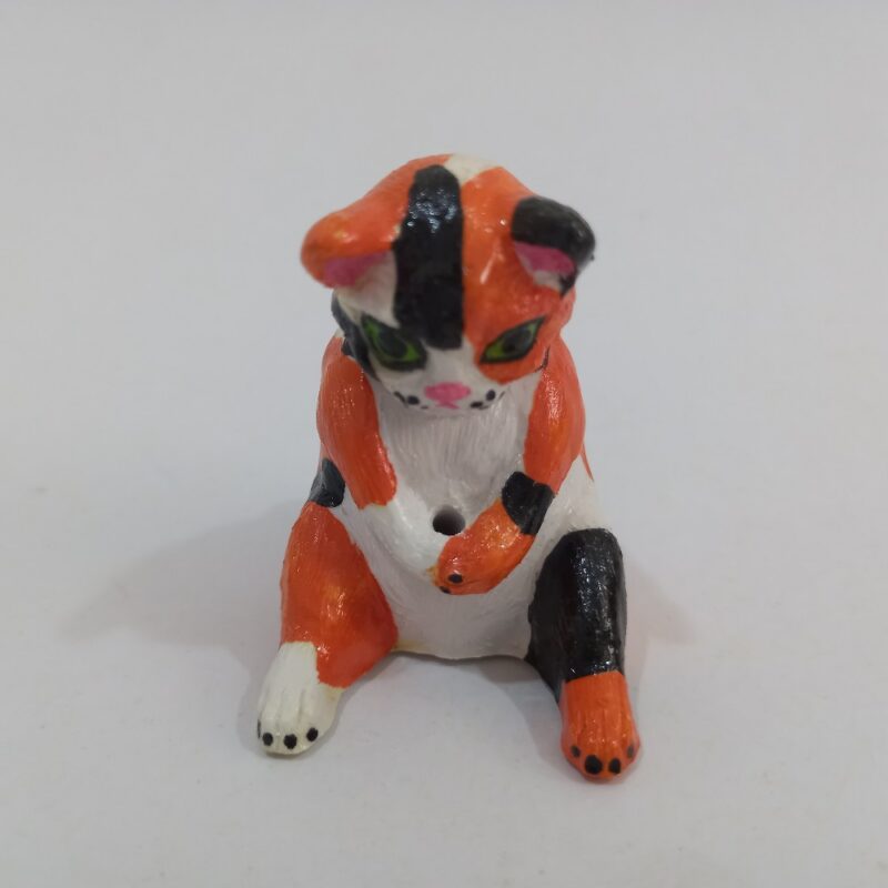 گربه ماهیگیر - تصویر 14