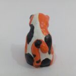 گربه ماهیگیر - تصویر 10