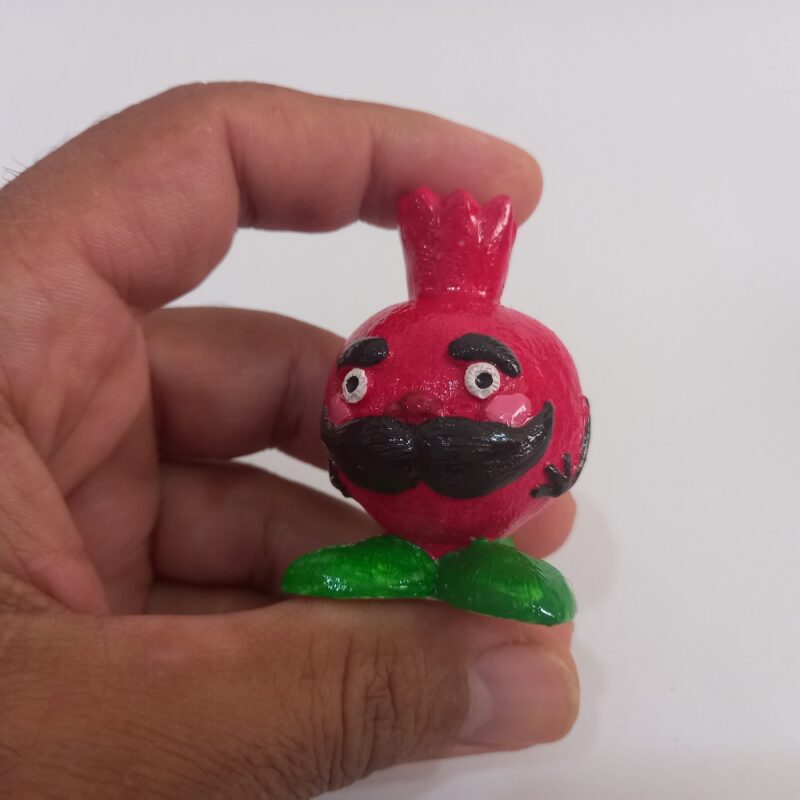 خانواده انار - تصویر 5