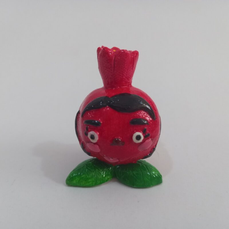 خانواده انار - تصویر 12