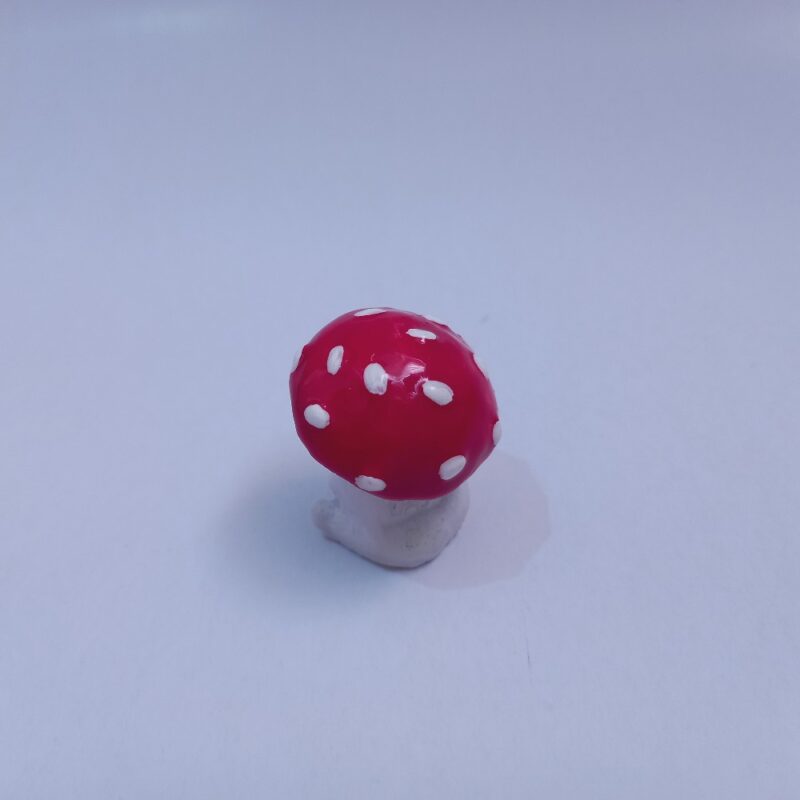 بچه قارچ - تصویر 2