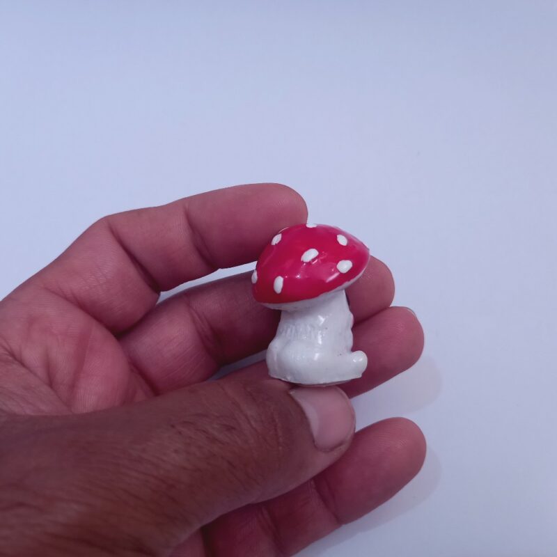 بچه قارچ - تصویر 4