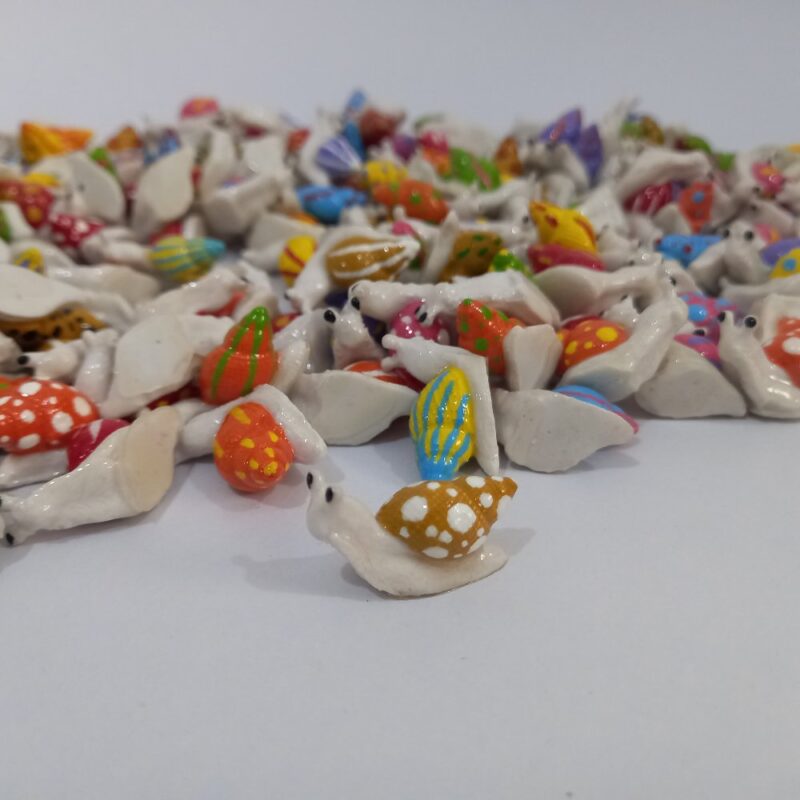 حلزون - تصویر 13