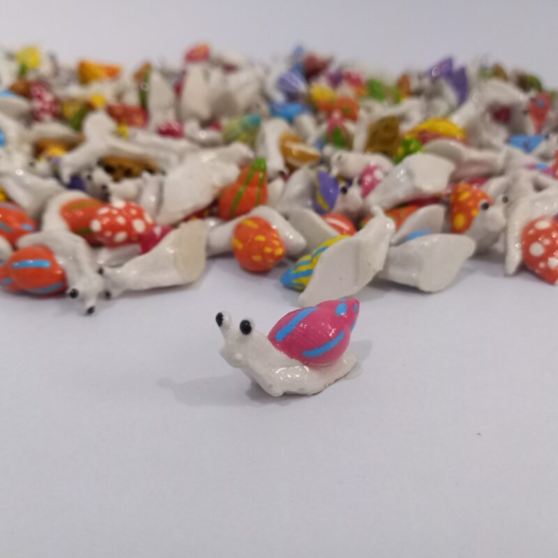 حلزون - تصویر 11