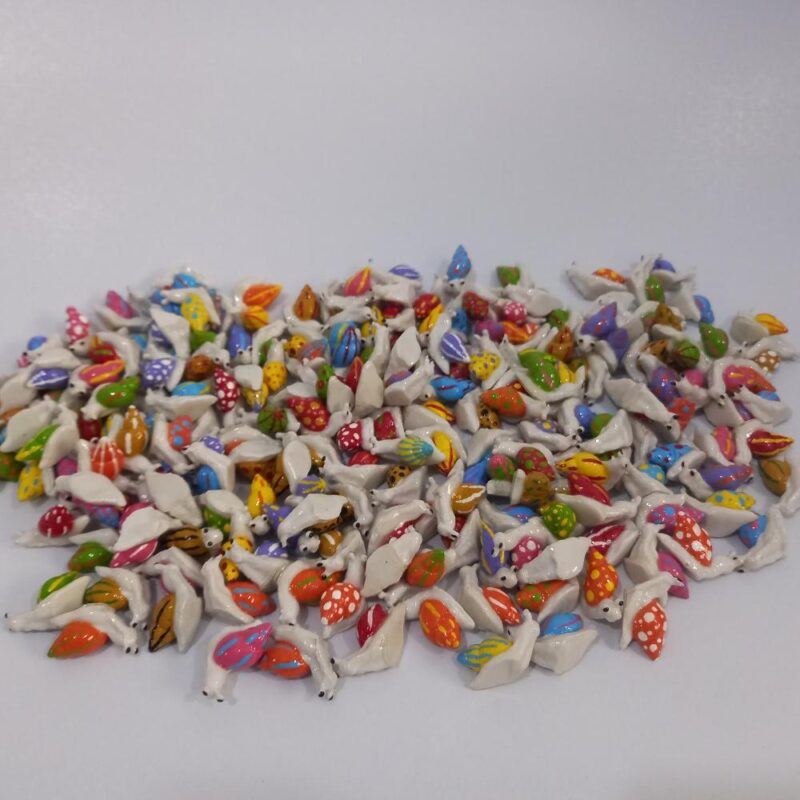 حلزون - تصویر 12